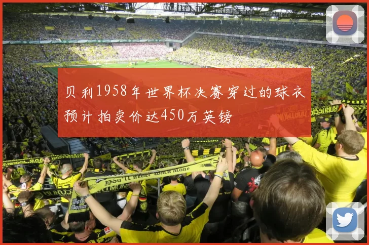 贝利1958年世界杯决赛穿过的球衣预计拍卖价达450万英镑